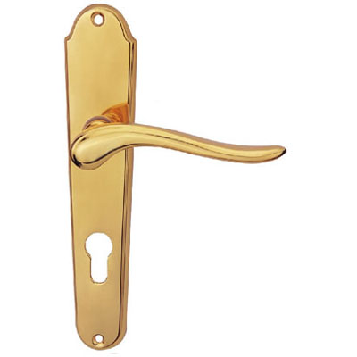 Brass Handle with Plate